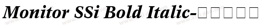 Monitor SSi Bold Italic字体转换